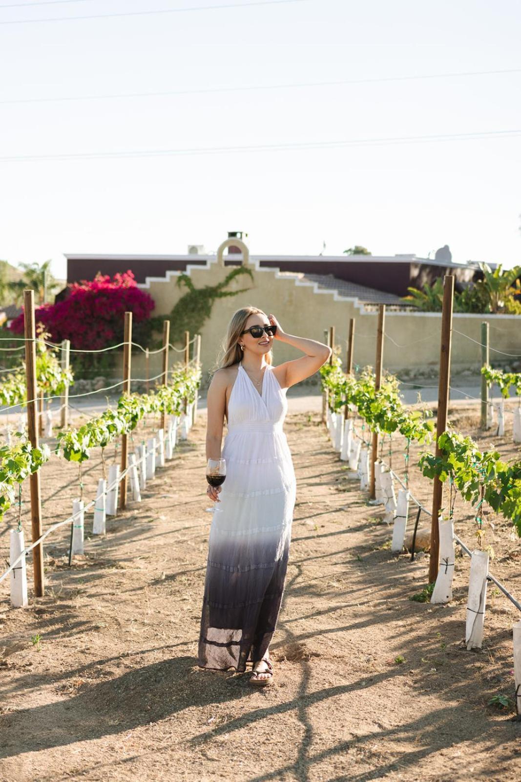 Sol Del Valle Valle de Guadalupe Exterior foto