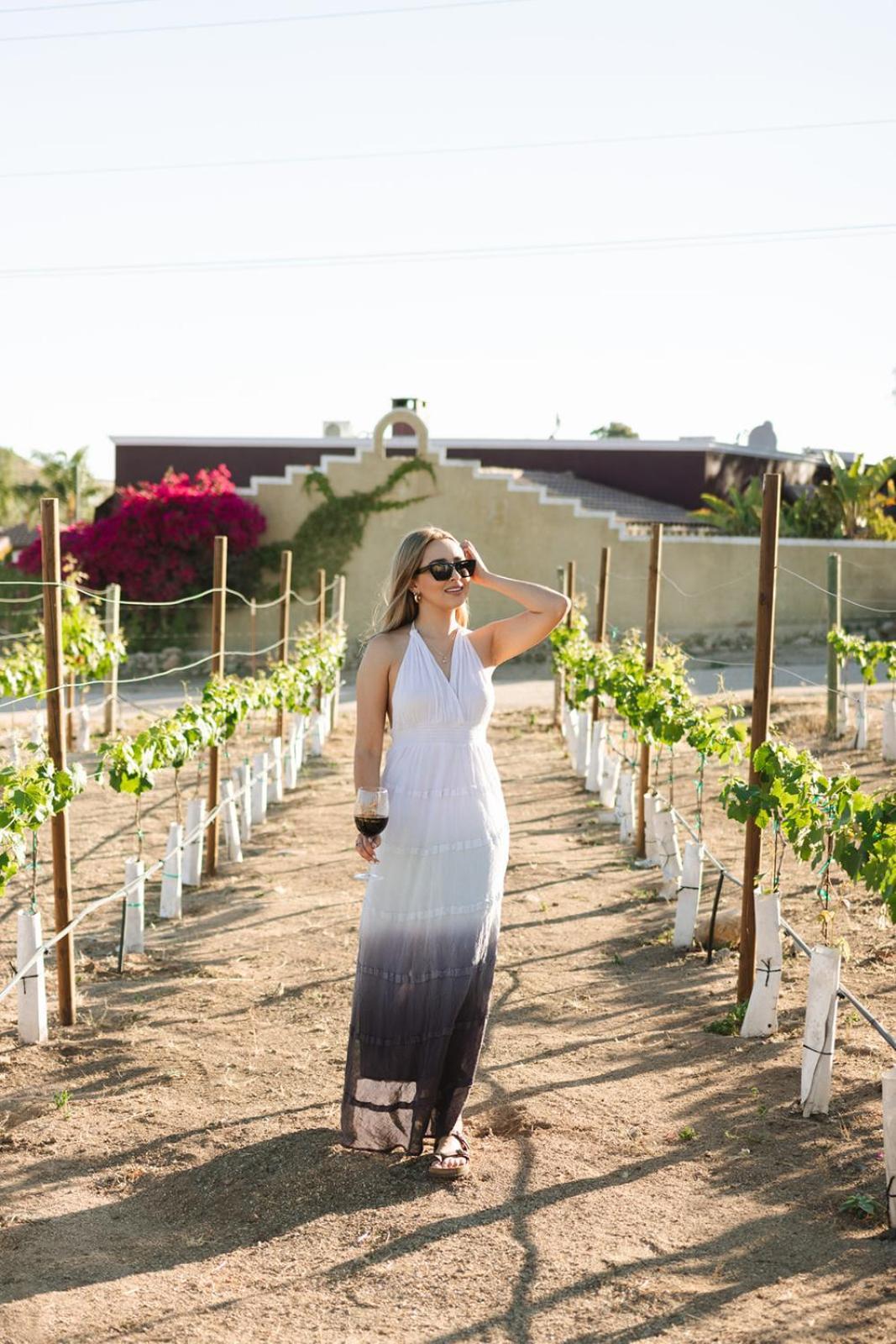 Sol Del Valle Villa Valle de Guadalupe Exterior foto